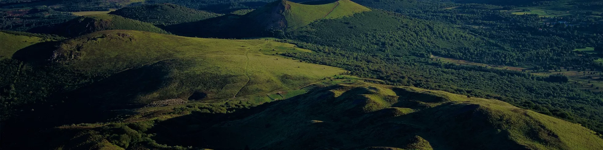 SARL L’AUBERGE DE MAZAYES